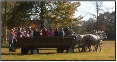HORSE DRAWN WAGON
$500 for A 6-Hour Event

